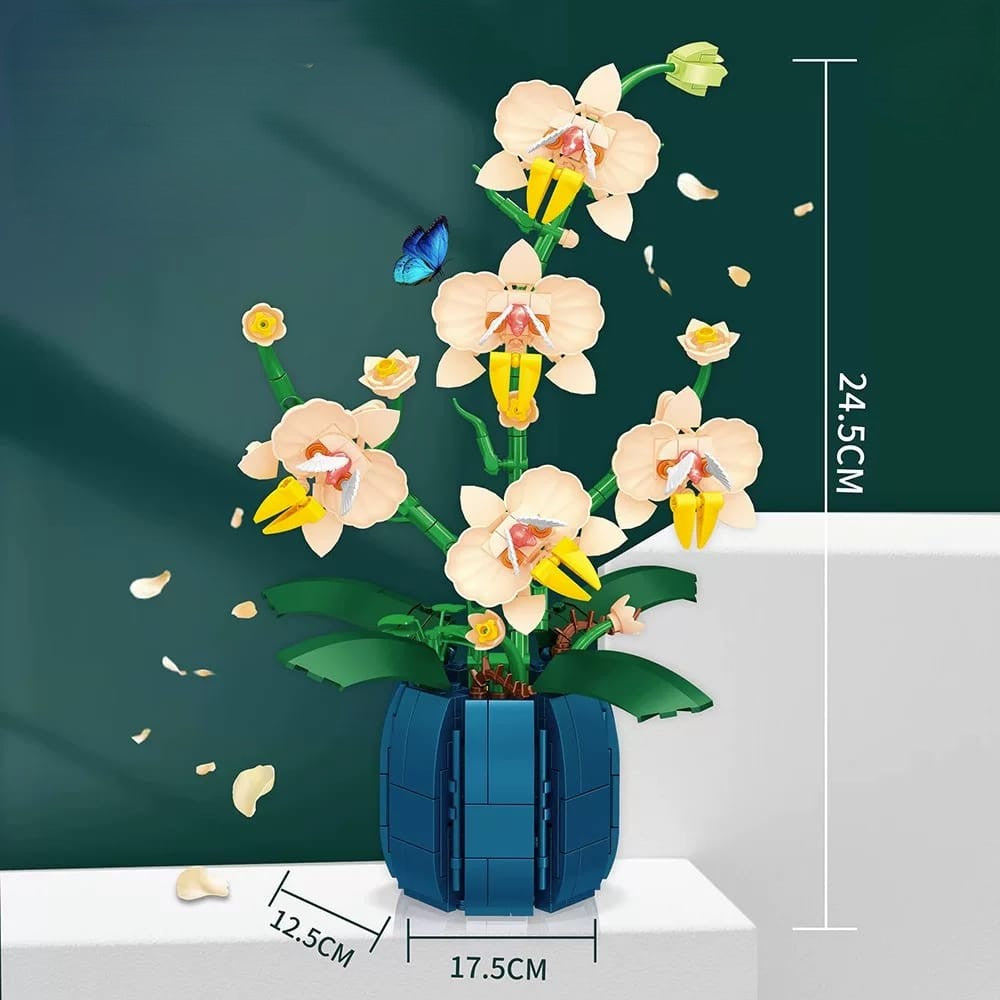 Orchid (Peach)