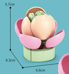Peach Pride A