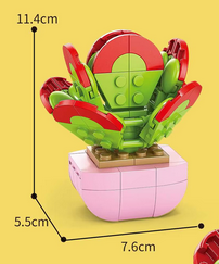 Kalanchoe Tetraphylla