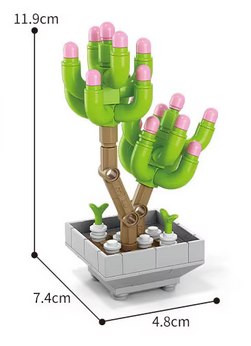 Sedum Pachyphyllum