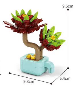 Aeonium Arboreum