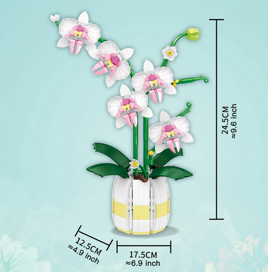 Orchid