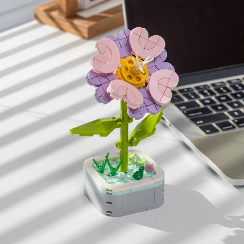 Purslane - 164 pieces