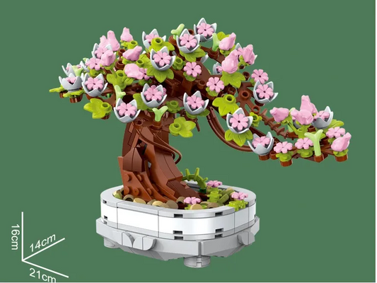 Cherry Bonsai